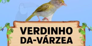 verdinho da varzea