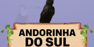 andorinha do sul