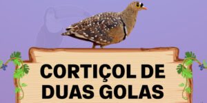 cortiçol de duas golas