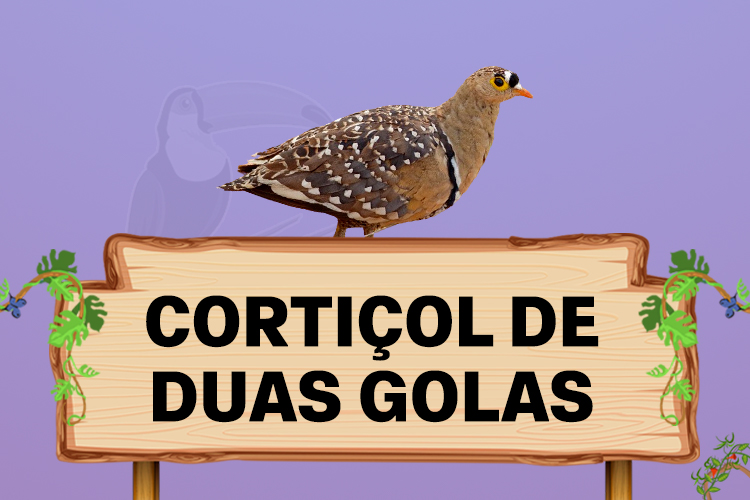 cortiçol de duas golas