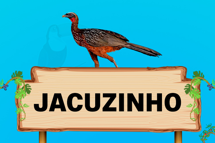 jacuzinho