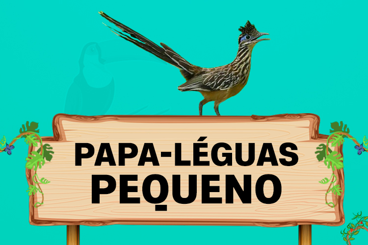 papa leguas pequeno