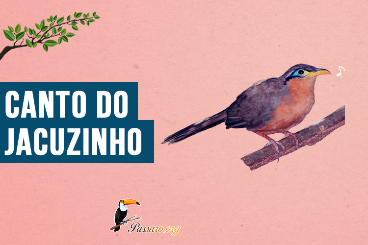 Canto do Jacuzinho