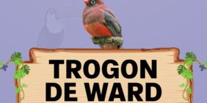 trogon de ward