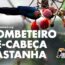 zombeteiro de cabeça castanha